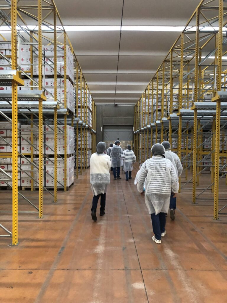 Visita 18/12/2025
