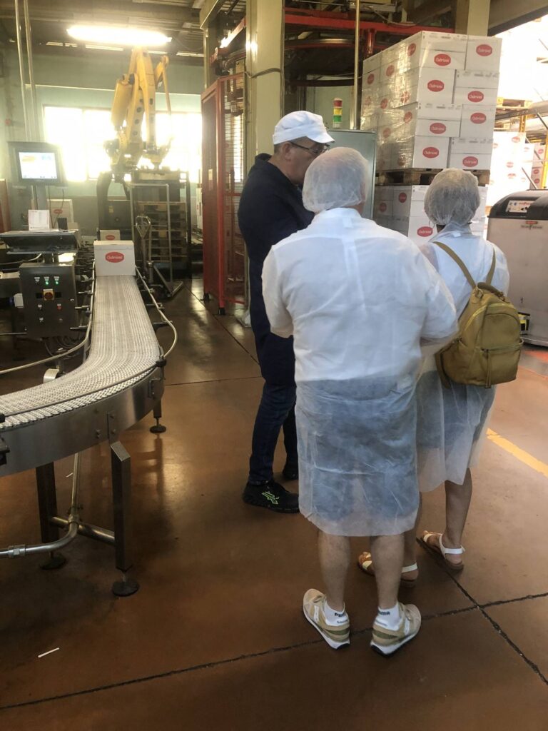 Visita 8/6/2026
