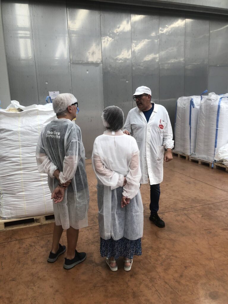 Visita 07/07/2026